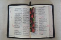 Biblia Pismo Święte Edycja św.Pawła  - oprawione w skórę naturalną z suwakiem