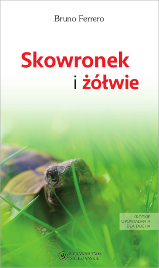 Skowronek i żółwie. Krótkie opowiadania dla ducha