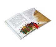Biblia Święta historia dla naszych dzieci - 2