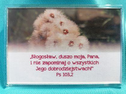 Magnes akrylowy 9,5 x 6,5 cm Błogosław duszo moja Pana...