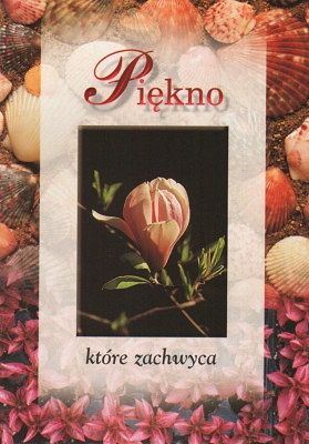 Piękno które zachwyca - Muszelka 7