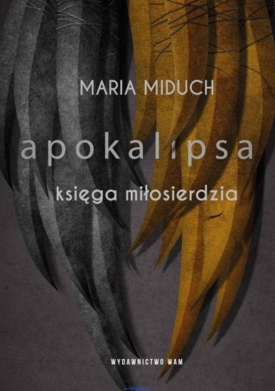 Apokalipsa księga miłosierdzia - Maria Miduch