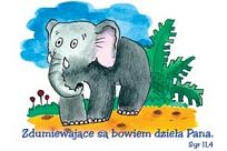 Kartki pocztowe seria KOLOROWA - 2