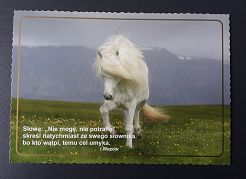 Kartka - Słowa: Nie mogę, nie potrafię...