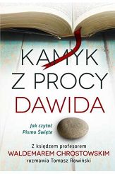 Kamyk Z Procy Dawida Jak Czytać Pismo Święte?