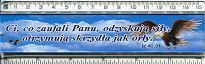 linijka