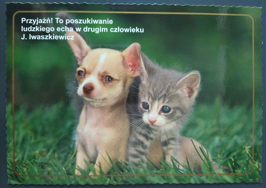 Kartka - Przyjaźń! To poszukiwanie ludzkiego echa w drugim człowieku.
