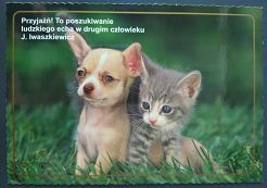 Kartka - Przyjaźń! To poszukiwanie ludzkiego echa w drugim człowieku.