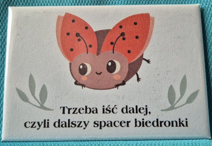 Magnes metalowy 8 x 5,5 cm Trzeba iść dalej...