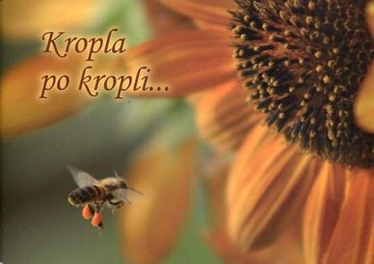 Kropla po kropli...