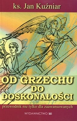 Od grzechu do doskonałości