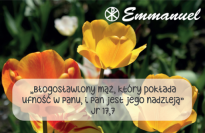 Magnes - Słowo dla Ciebie seria 2 - kategoria zaufanie wzór 3