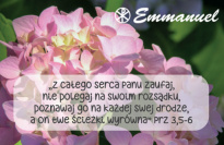 Magnes - Słowo dla Ciebie seria 2 - kategoria zaufanie wzór 8