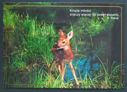 Kartka - Kropla miłości znaczy więcej niż ocean rozumu.