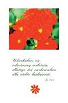 Kartki pocztowe seria OBIETNICE 90szt. - 6
