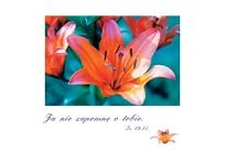 Kartki pocztowe seria OBIETNICE 90szt. - 8