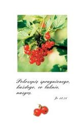 Kartki pocztowe seria OBIETNICE 90szt.