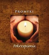 Promyki pokrzepienia. Najpiękniejsze cytaty z Pisma Świętego