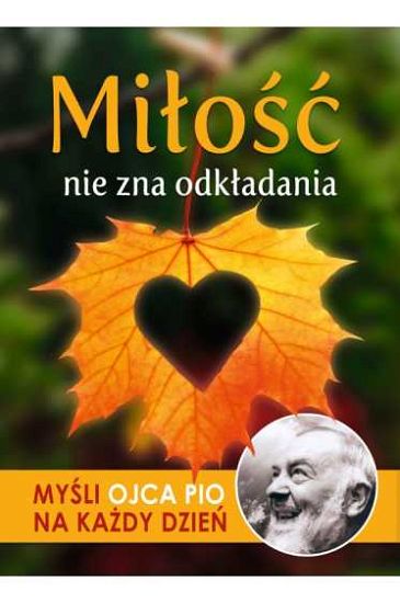 Miłość nie zna odkładania - myśli Ojca Pio na każdy dzień