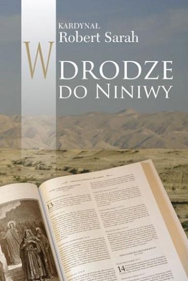 W drodze do Niniwy