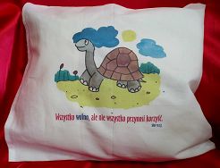 Poduszka przytulanka - Wszystko wolno, ale nie wszystko przynosi korzyść