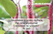 Magnes - Słowo dla Ciebie seria 2 - kategoria wolność wzór 10