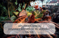 Magnes - Słowo dla Ciebie seria 2 - kategoria wolność wzór 3