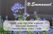 Magnes - Słowo dla Ciebie seria 2 - kategoria wolność wzór 4