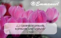 Magnes - Słowo dla Ciebie seria 2 - kategoria wolność wzór 6