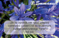 Magnes - Słowo dla Ciebie seria 2 - kategoria wolność wzór 7