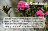 Magnes - Słowo dla Ciebie seria 2 - kategoria wolność wzór 8