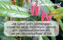 Magnes - Słowo dla Ciebie seria 2 - kategoria wolność wzór 9