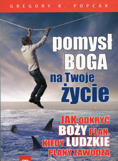 Pomysł Boga na twoje życie. Jak odkryć Boży plan, kiedy ludzkie plany zawodzą