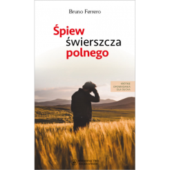 Śpiew świerszcza polnego. Krótkie opowiadania dla ducha