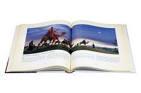 Biblia Ilustrowane historie ze Starego i Nowego Testamentu - 2