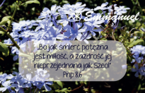 Magnes - Słowo dla Ciebie seria 2 - kategoria miłość wzór 2