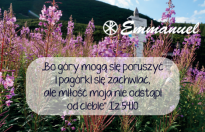 Magnes - Słowo dla Ciebie seria 2 - kategoria miłość wzór 3