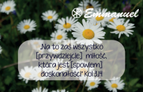 Magnes - Słowo dla Ciebie seria 2 - kategoria miłość wzór 7