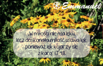 Magnes - Słowo dla Ciebie seria 2 - kategoria miłość wzór 9