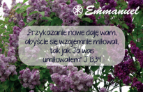 Magnes - Słowo dla Ciebie seria 2 - kategoria miłość wzór 10