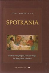 Spotkania - Krótkie medytacje o szukaniu Boga we wszystkich rzeczach