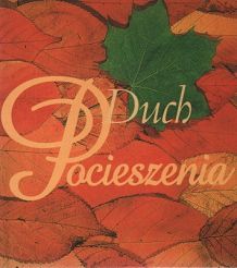 Duch pocieszenia