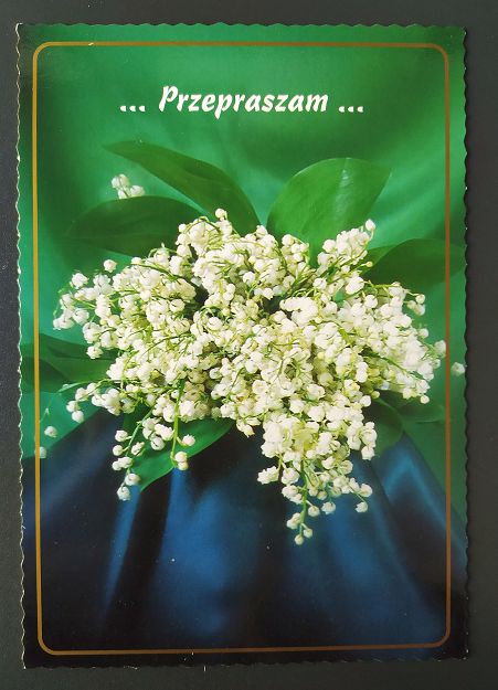 Kartka - Przepraszam