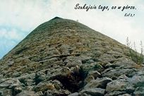 Kartki pocztowe seria FOTO 90 szt. - 3