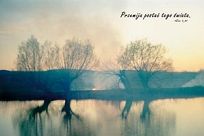 Kartki pocztowe seria FOTO 90 szt. - 7