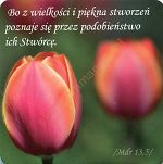 Podstawka kartonowa EMMANUEL - Wzór 9